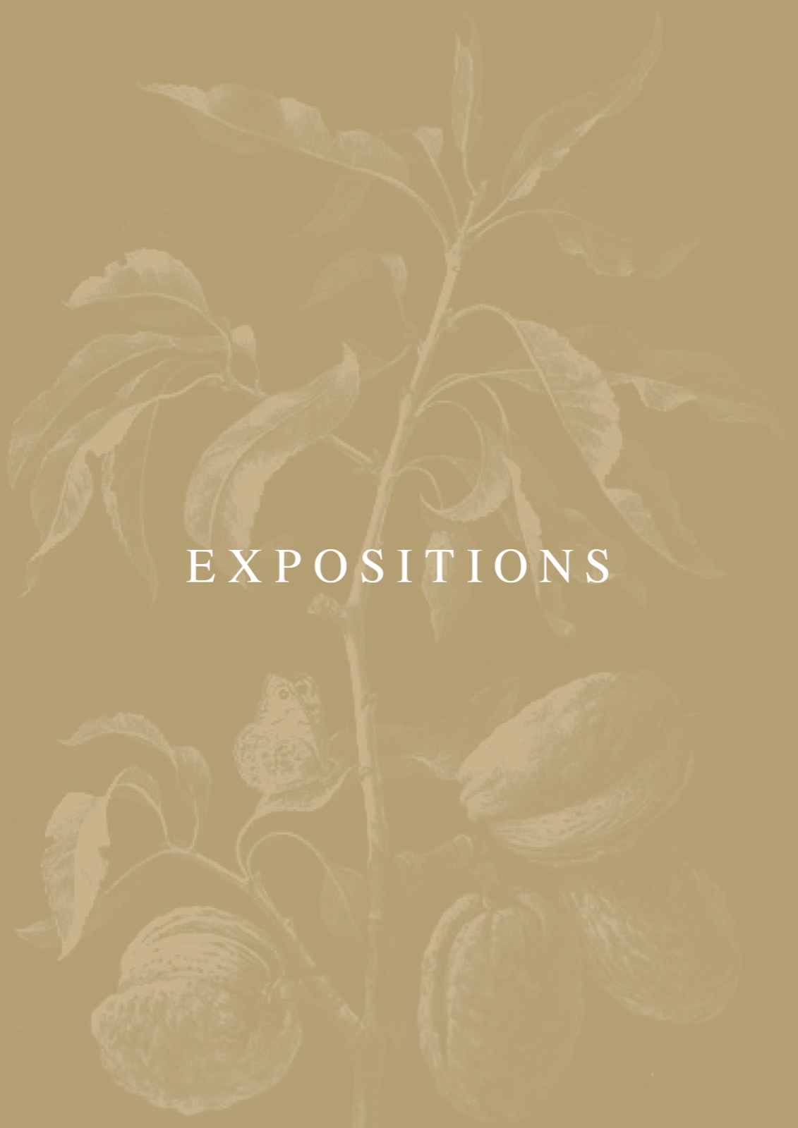 1001-expositions